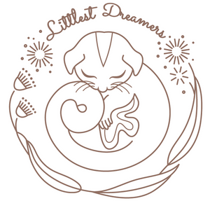 Littlest Dreamers